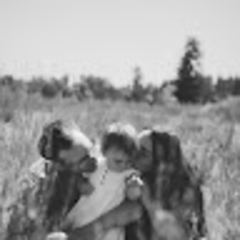 Meet your Posher, Shelby